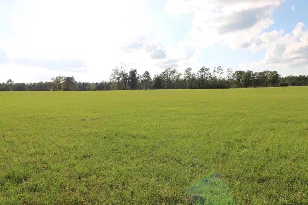 45.44 acres in Texas County - photo 23
