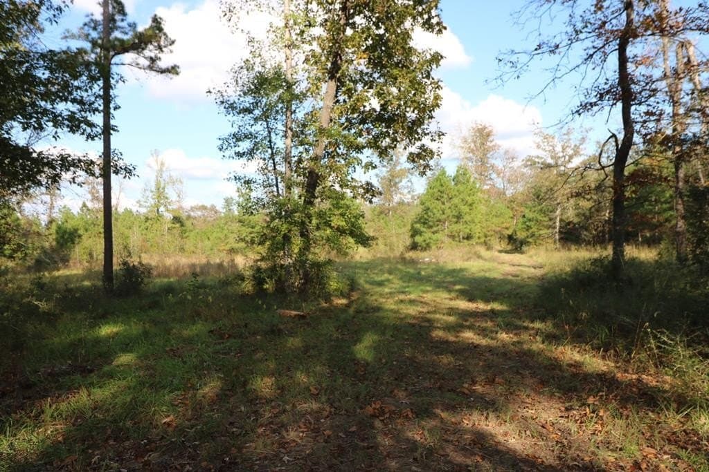 45.44 acres in Texas County - photo 9