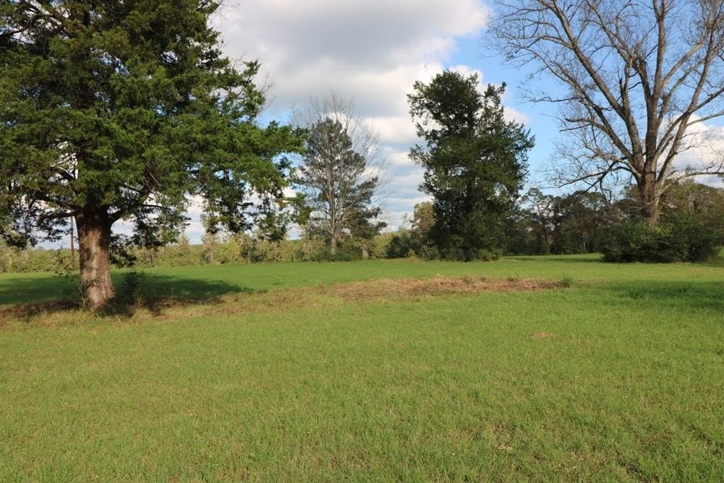 45.44 acres in Texas County - photo 17