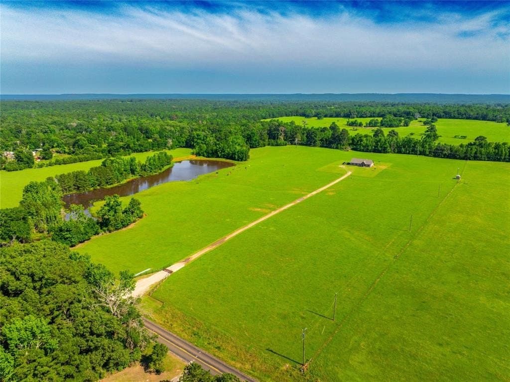 54.9 acres in Anderson County gallery image 3