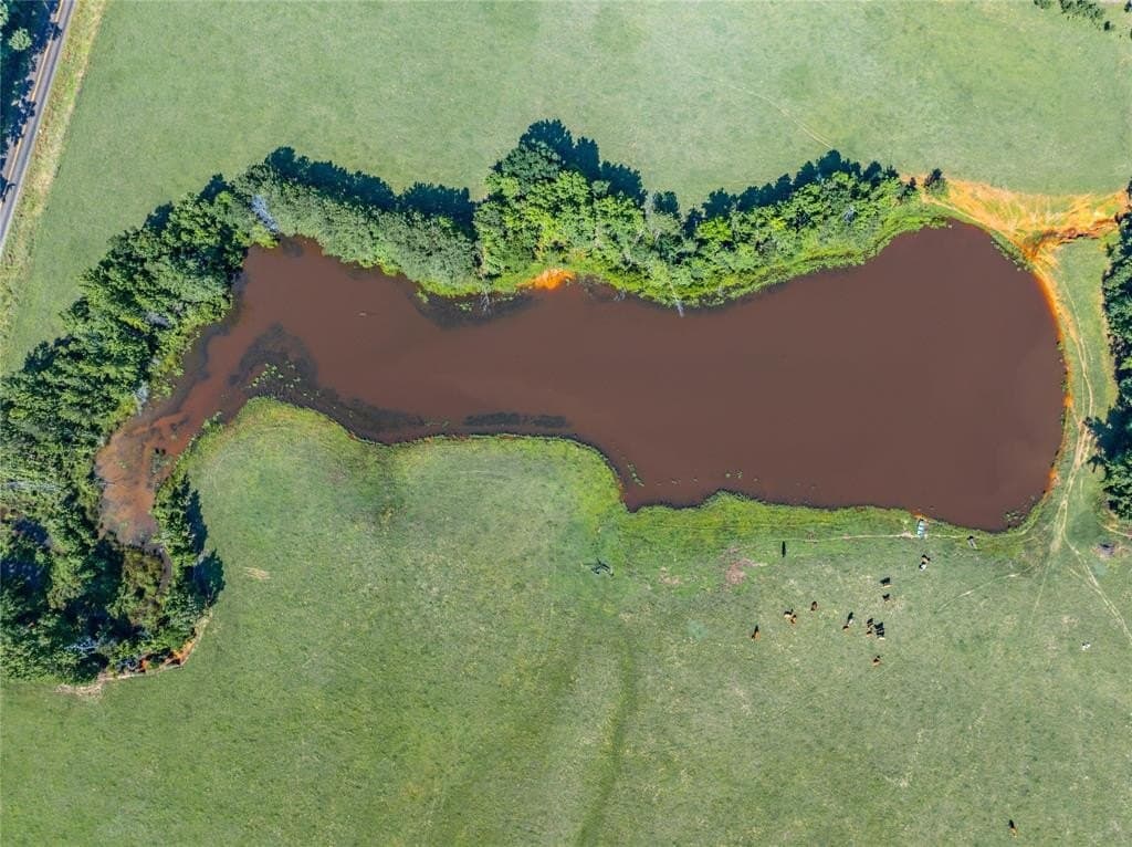 54.9 acres in Anderson County gallery image 4