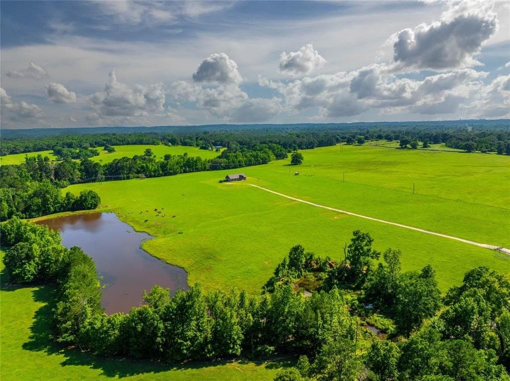 54.9 acres in Anderson County gallery image 2