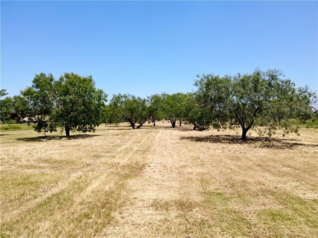 2.95 acres in Jim Wells County - photo 9