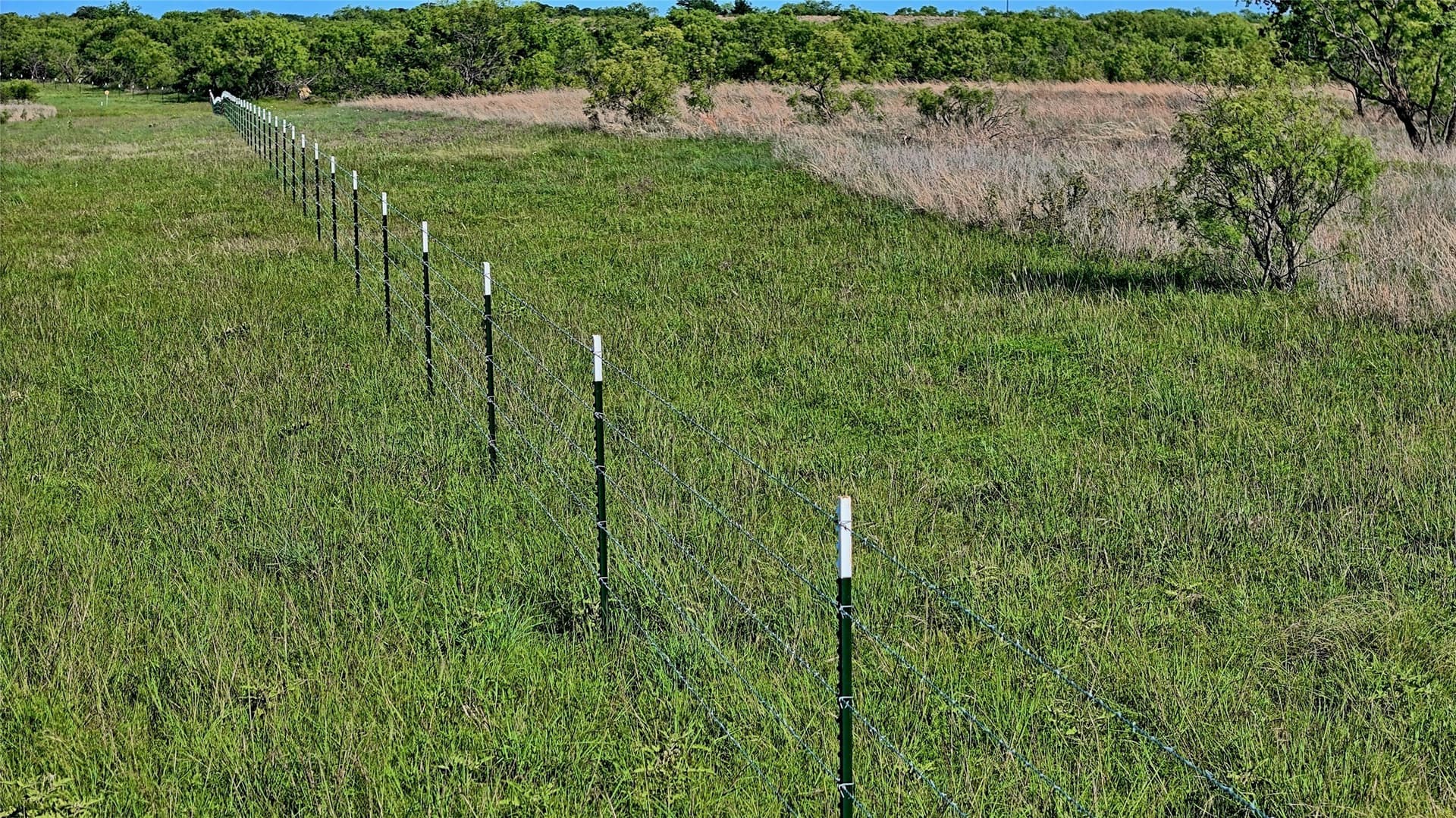 41.3 acres in Montague County - photo 9