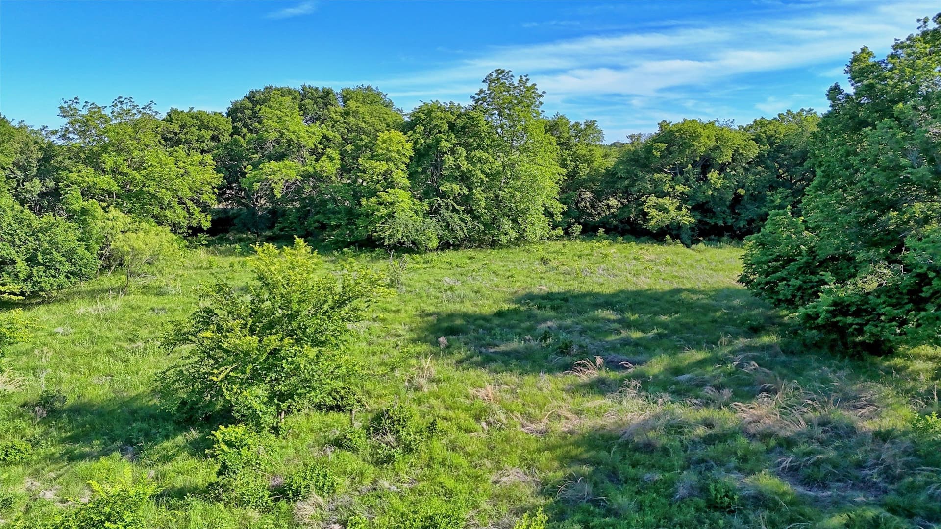 41.3 acres in Montague County - photo 23