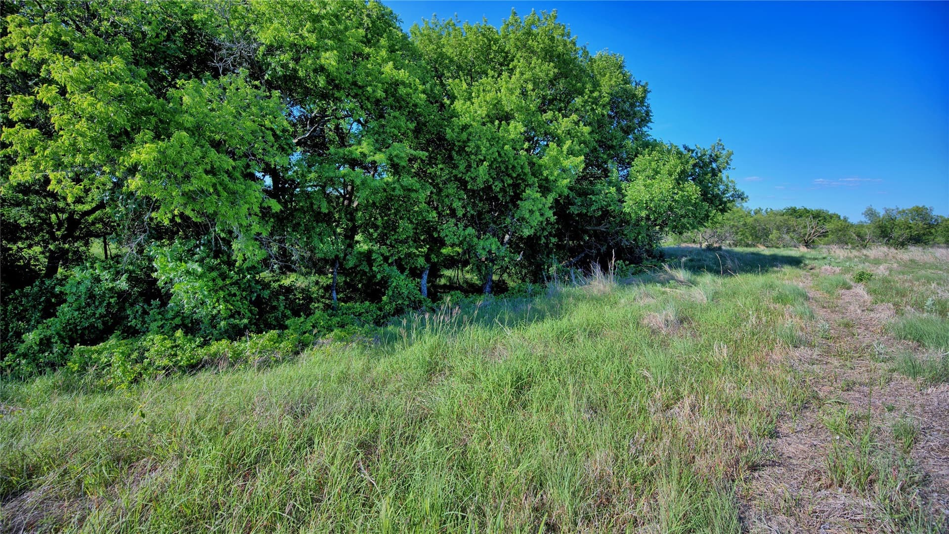 41.3 acres in Montague County - photo 21