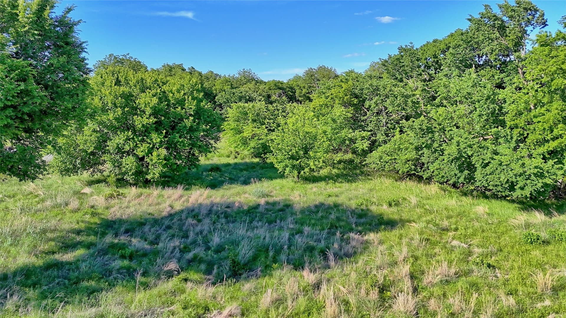 41.3 acres in Montague County - photo 19