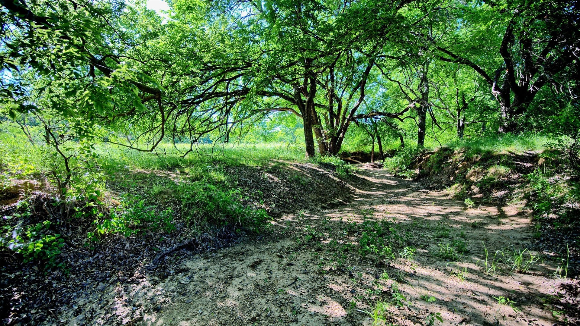 41.3 acres in Montague County - photo 22