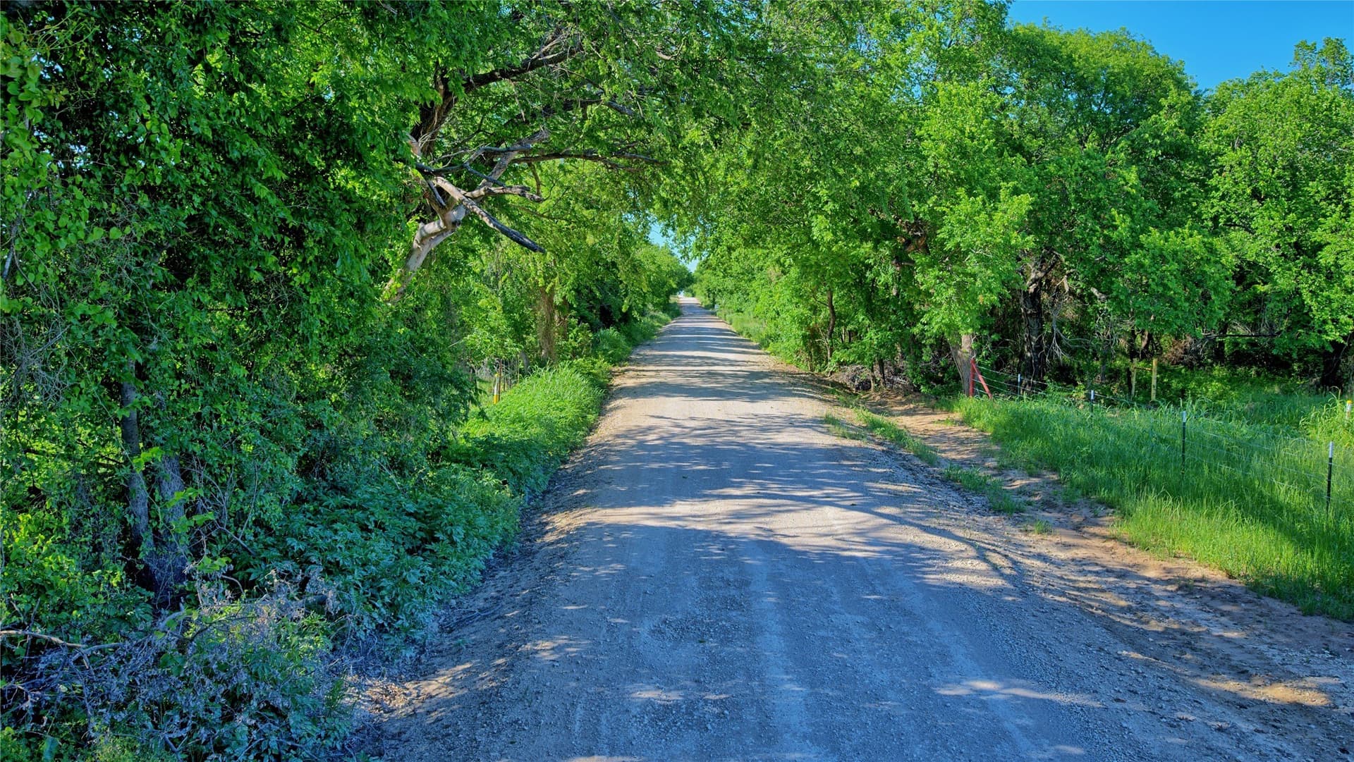 41.3 acres in Montague County - photo 16
