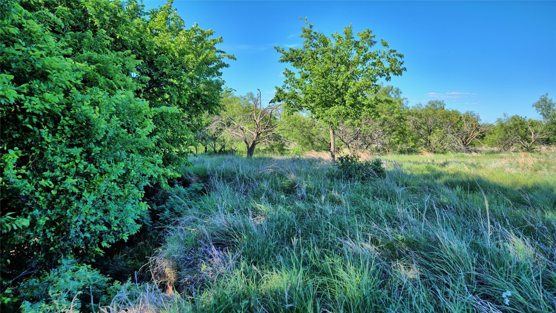 41.3 acres in Montague County - photo 20