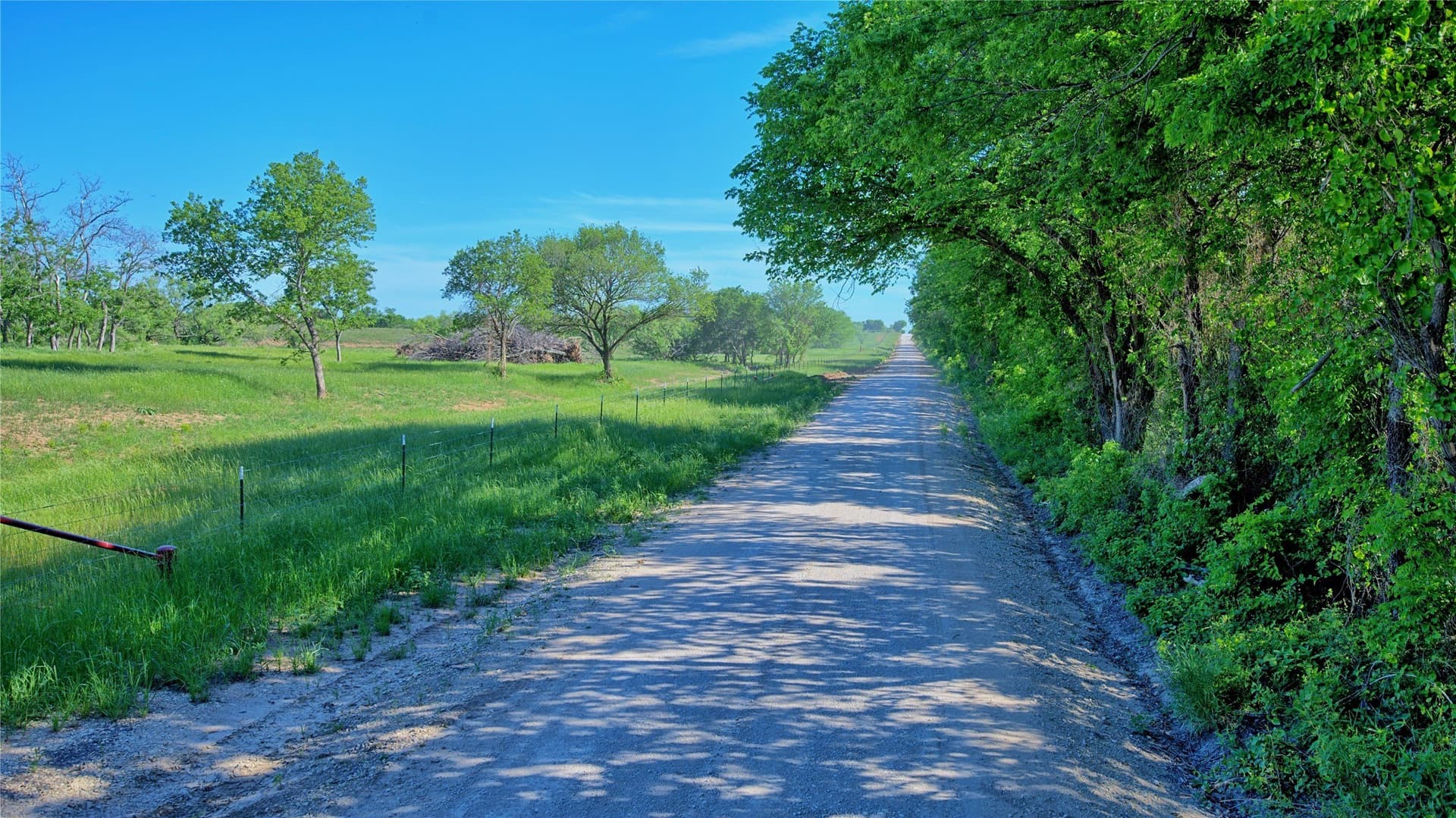 41.3 acres in Montague County - photo 11