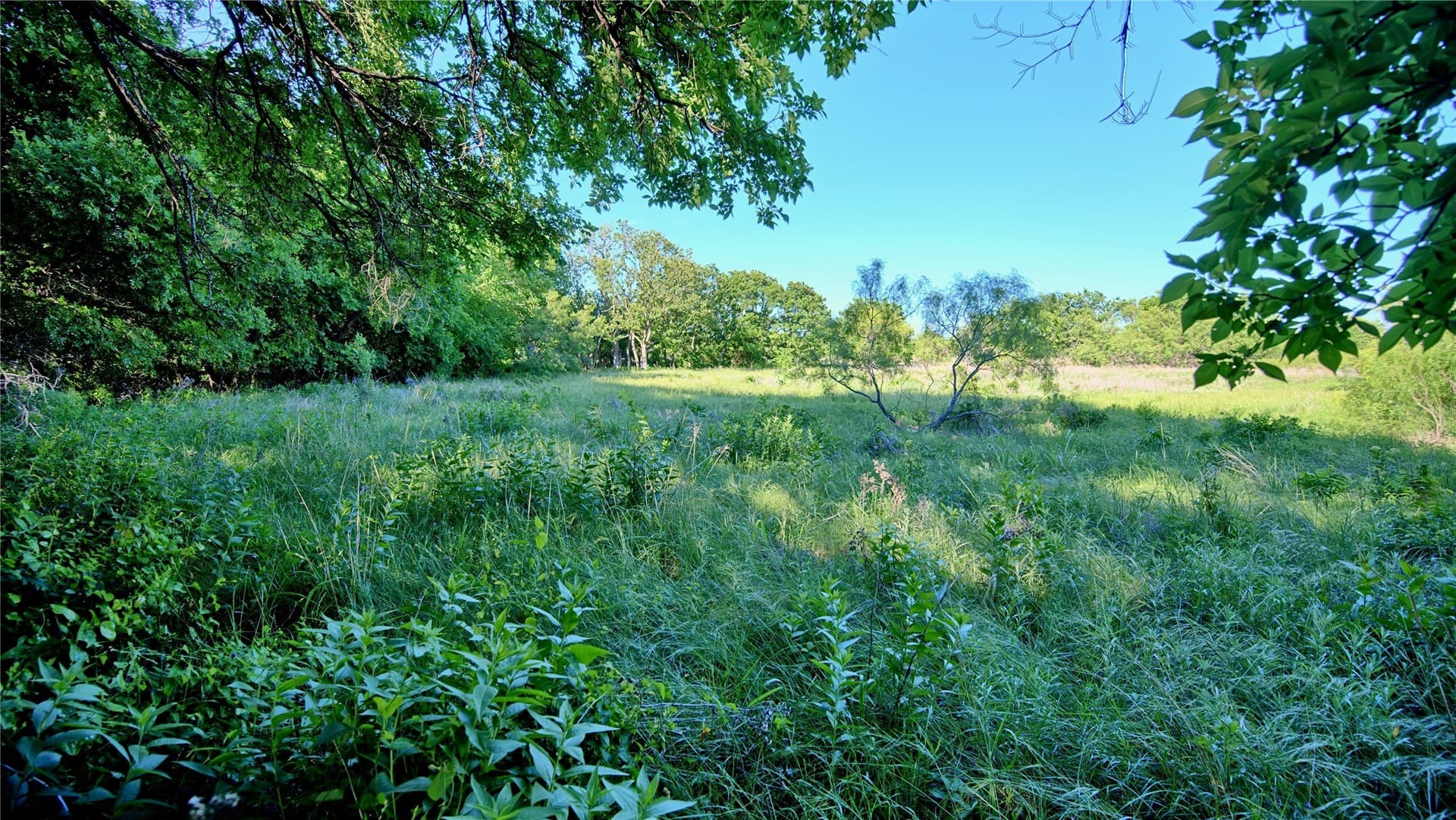 41.3 acres in Montague County - photo 18