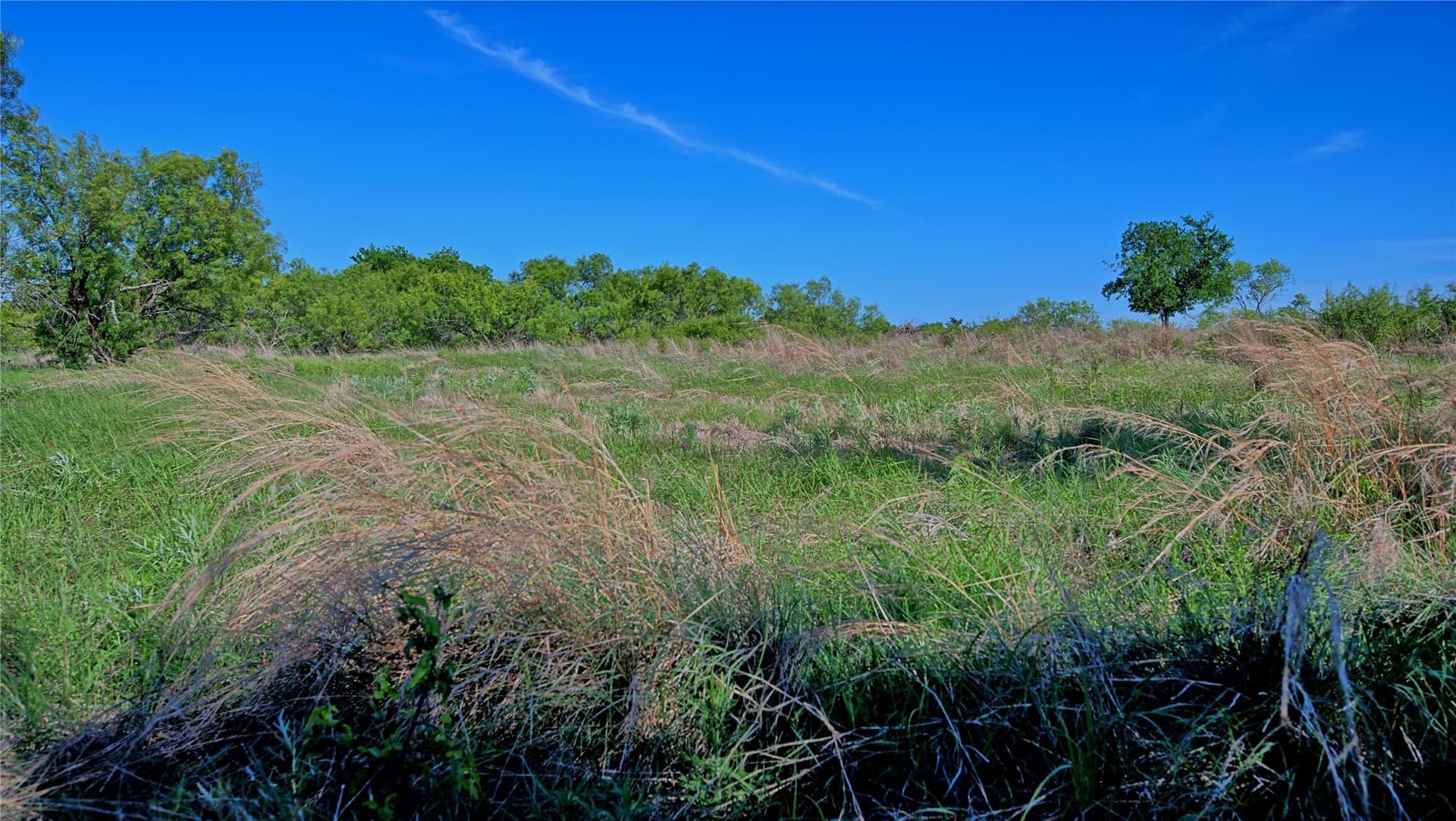 41.3 acres in Montague County - photo 14