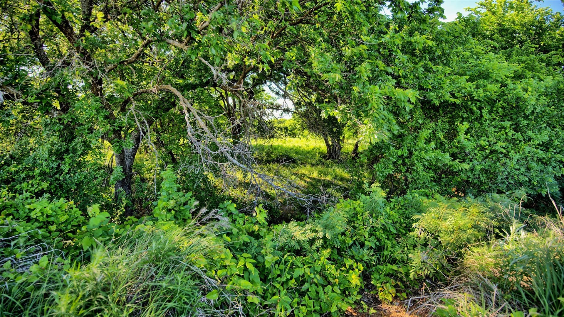 41.3 acres in Montague County - photo 12
