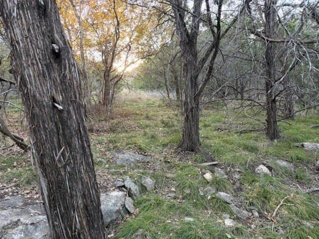 0.38 acres in Palo Pinto County gallery image 2