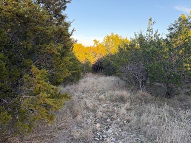 0.38 acres in Palo Pinto County featured view