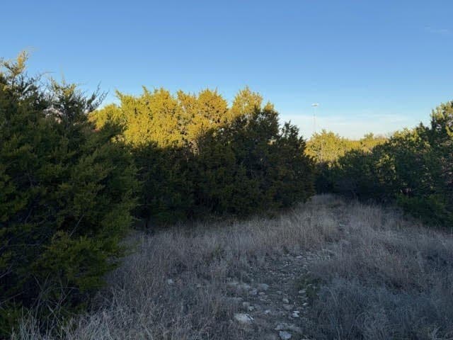 0.38 acres in Palo Pinto County - photo 6