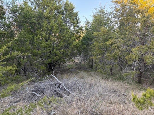 0.38 acres in Palo Pinto County gallery image 4