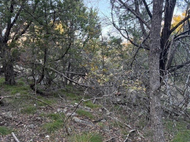 0.38 acres in Palo Pinto County - photo 8