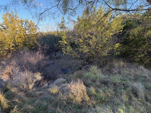 0.38 acres in Palo Pinto County - photo 7