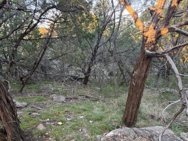 0.38 acres in Palo Pinto County gallery image 3