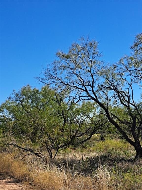 140.6 acres in Taylor County featured view