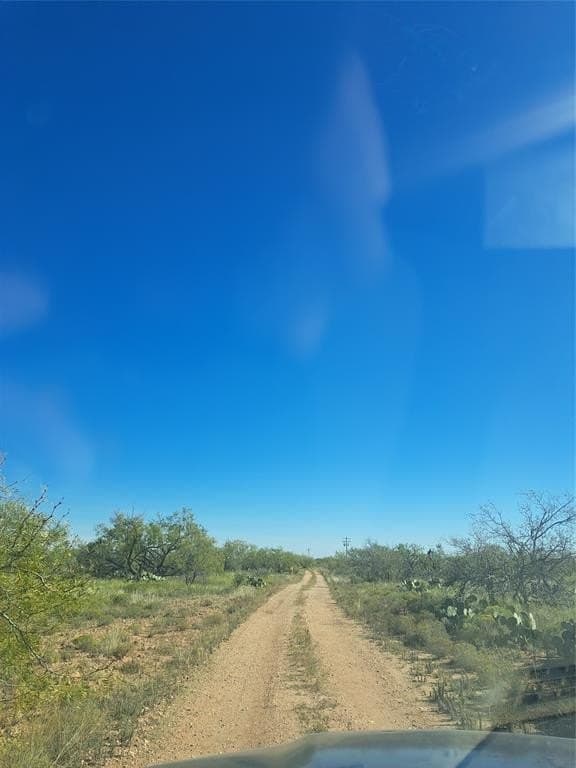 140.6 acres in Taylor County gallery image 2