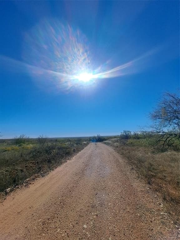 140.6 acres in Taylor County gallery image 3