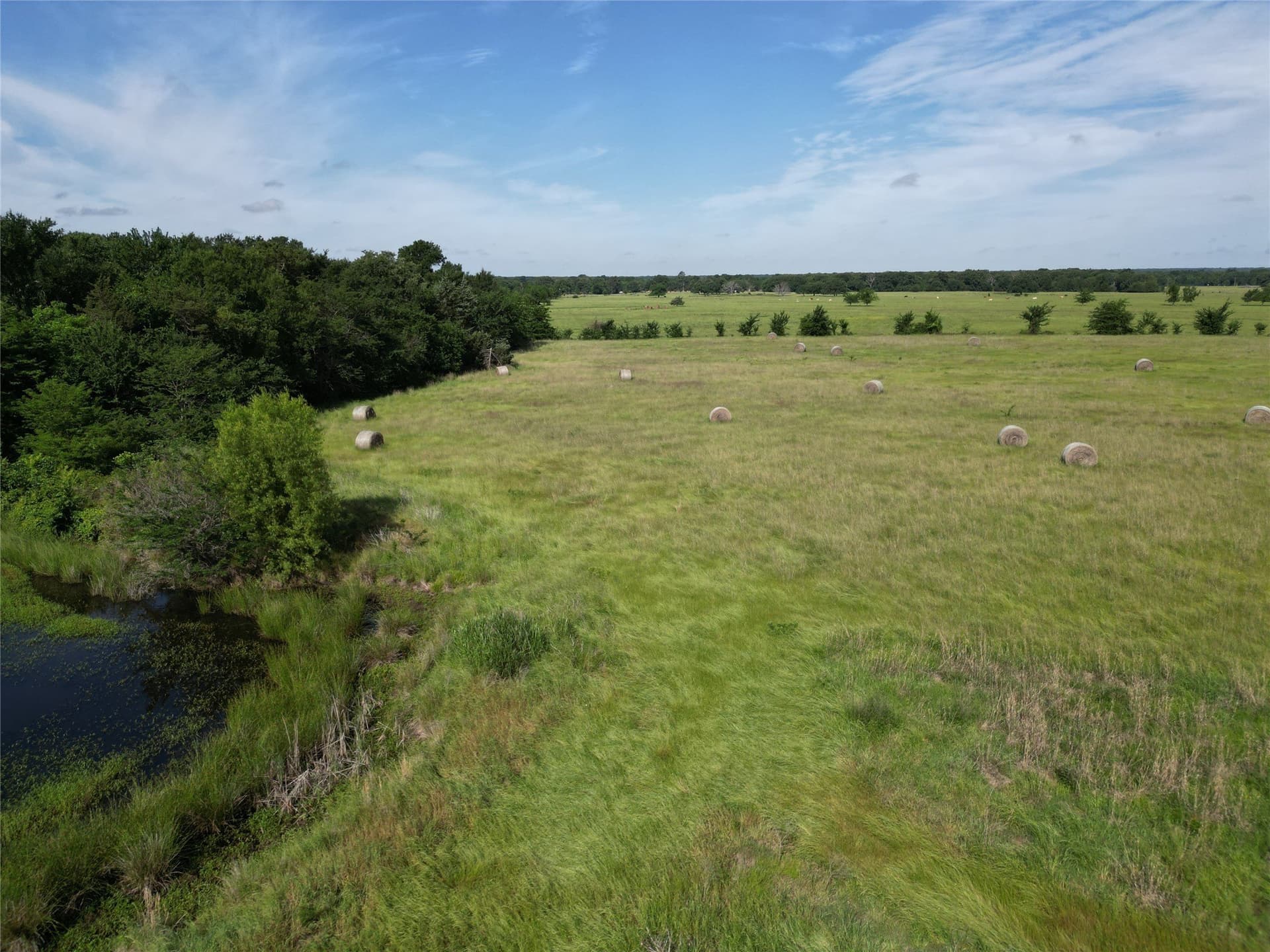 38.93 acres in Hopkins County - photo 7