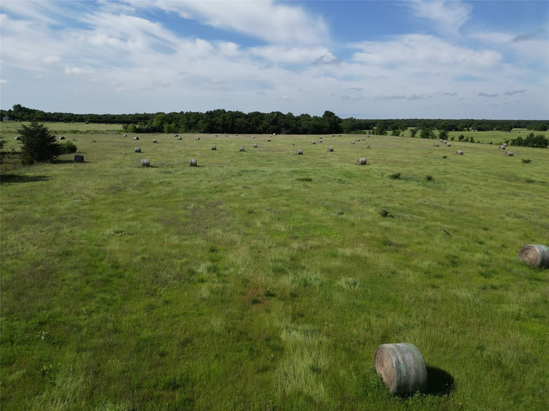 38.93 acres in Hopkins County - photo 13