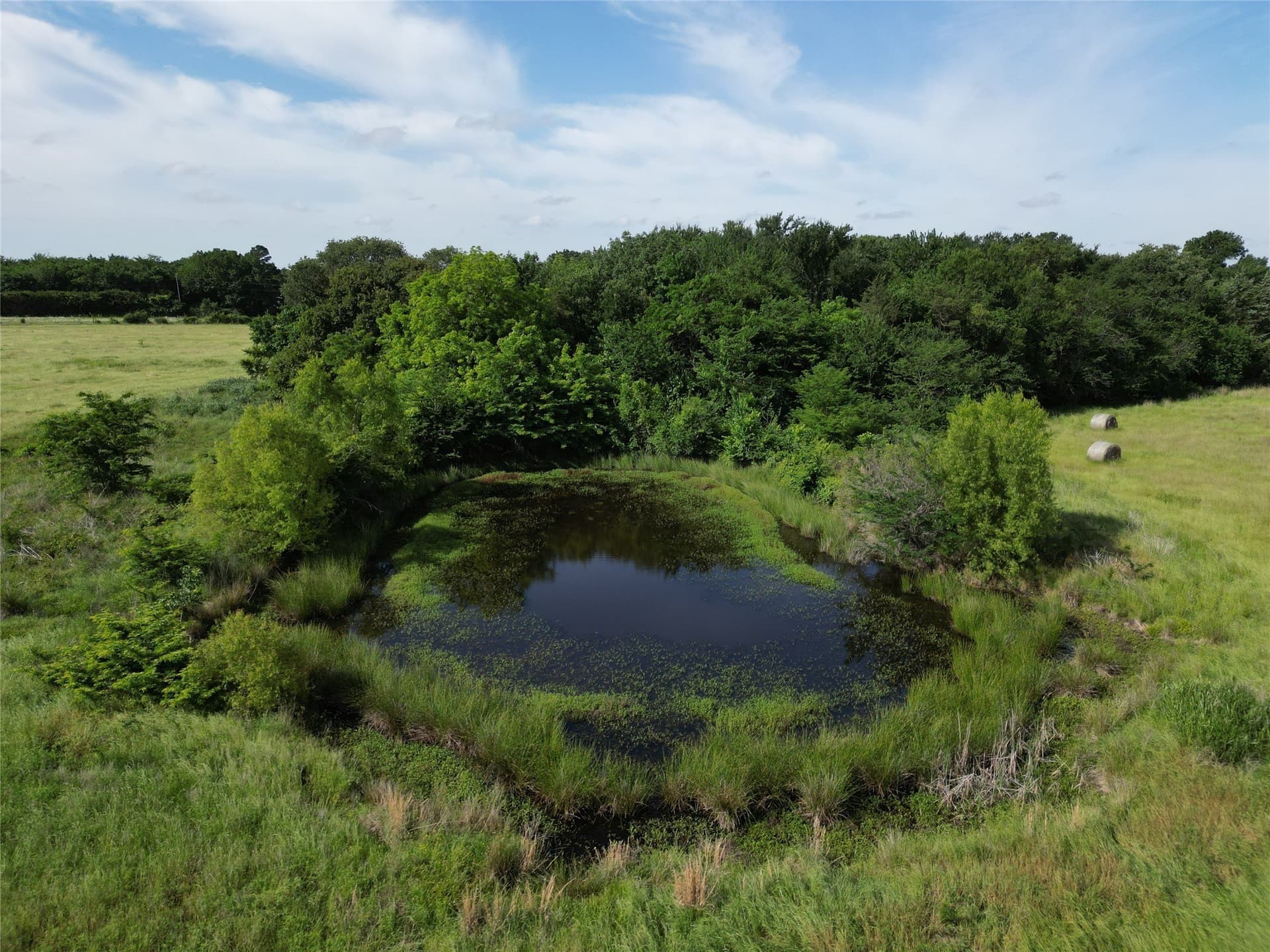 38.93 acres in Hopkins County - photo 6