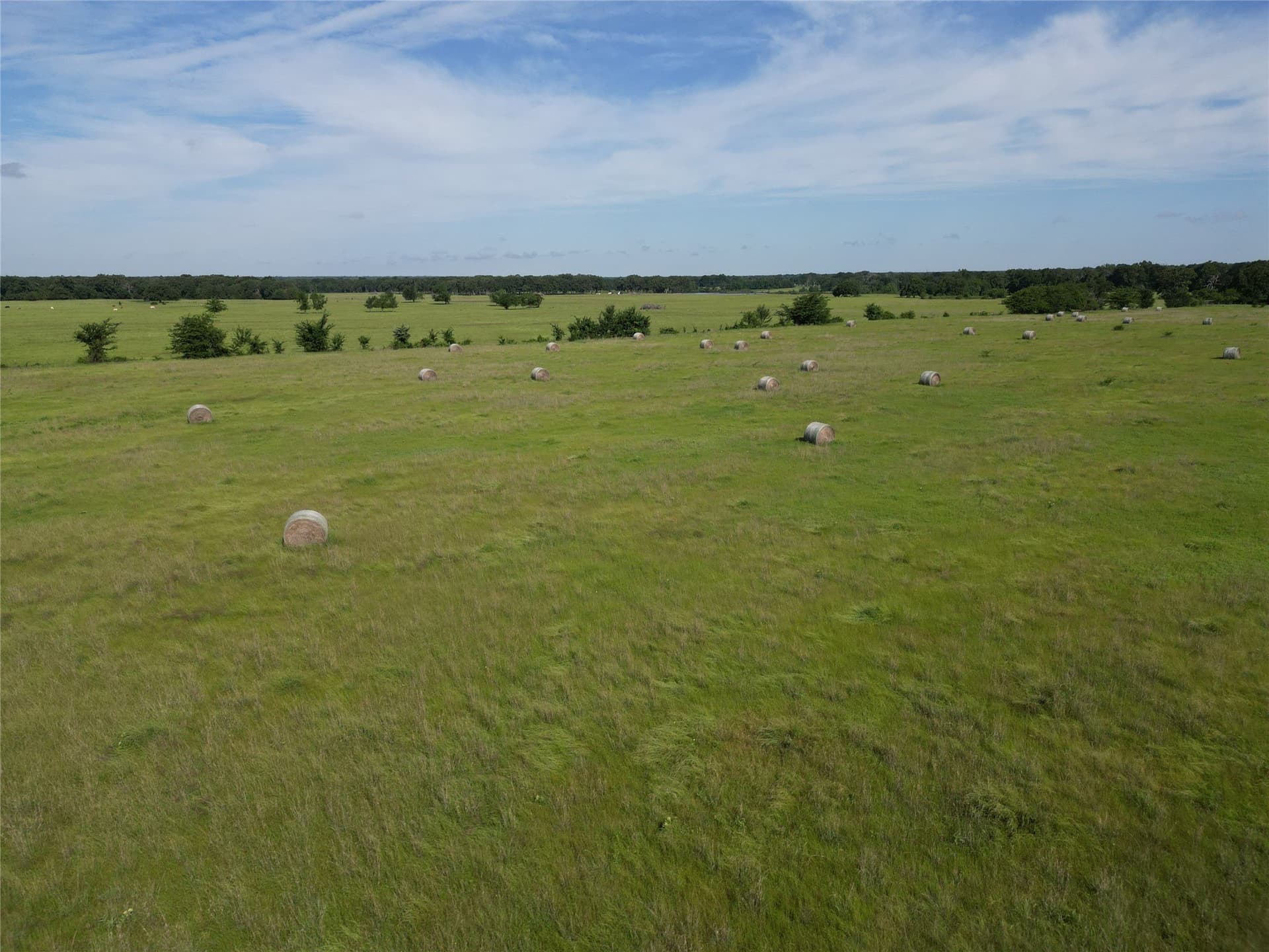 38.93 acres in Hopkins County - photo 8