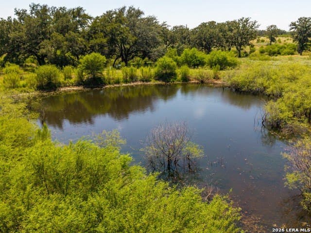 77.2 acres in Guadalupe County - photo 16
