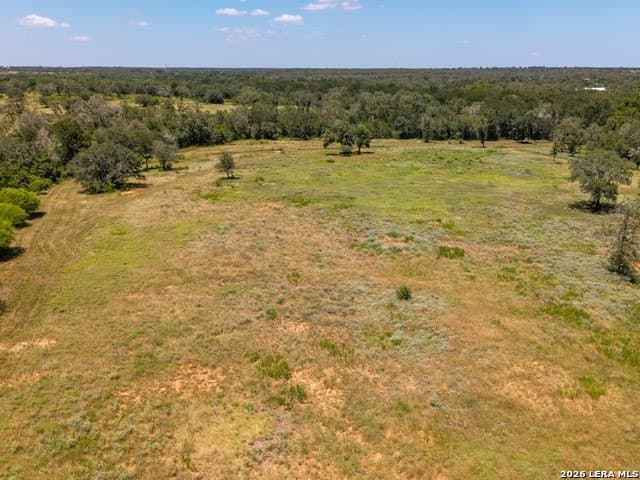 77.2 acres in Guadalupe County - photo 6