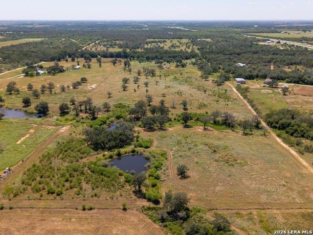 77.2 acres in Guadalupe County - photo 17