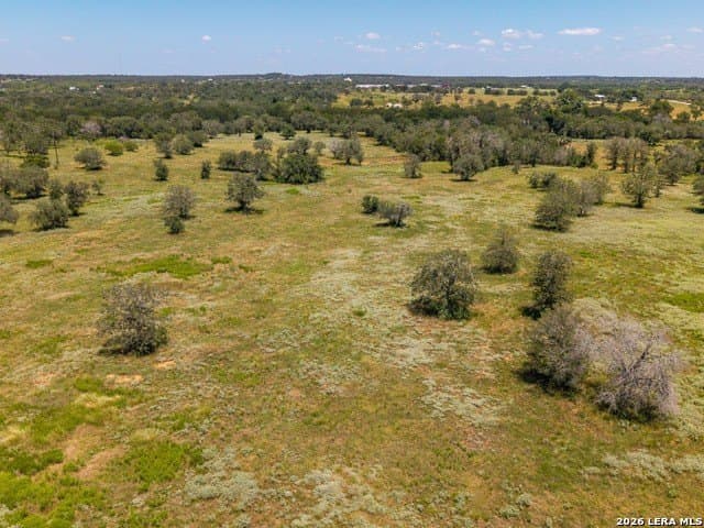 77.2 acres in Guadalupe County - photo 5