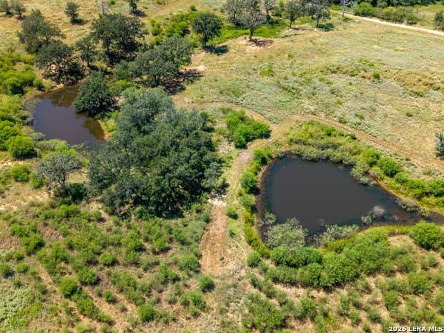 77.2 acres in Guadalupe County - photo 14
