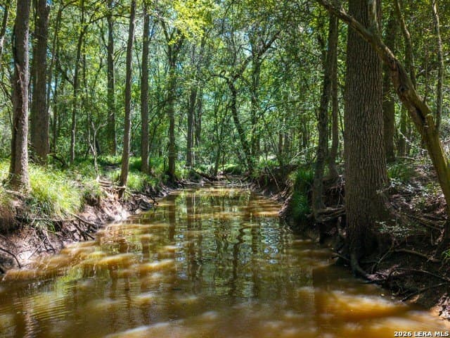 77.2 acres in Guadalupe County - photo 13