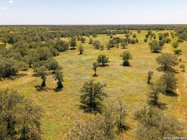 77.2 acres in Guadalupe County - photo 10
