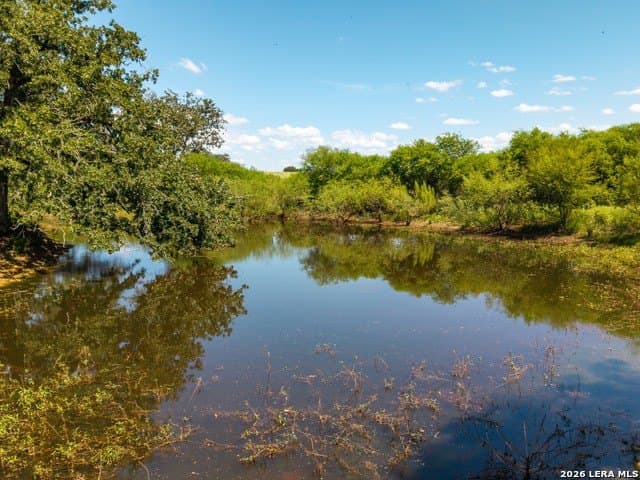 77.2 acres in Guadalupe County - photo 15