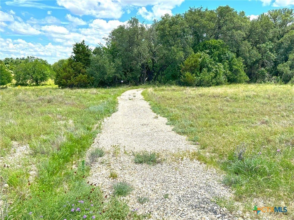 12.57 acres in Coryell County gallery image 3