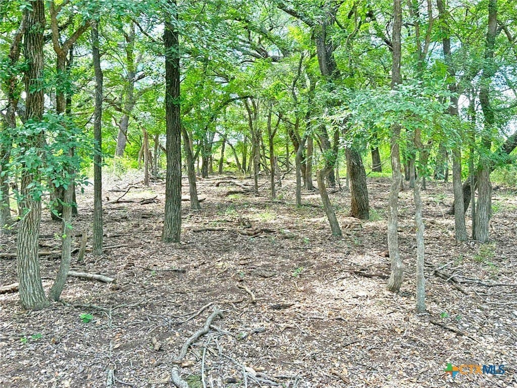 12.57 acres in Coryell County gallery image 4