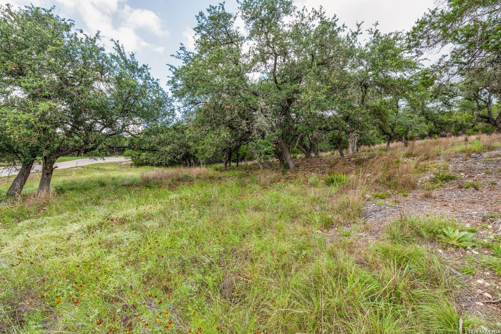 2.06 acres in Comal County gallery image 4