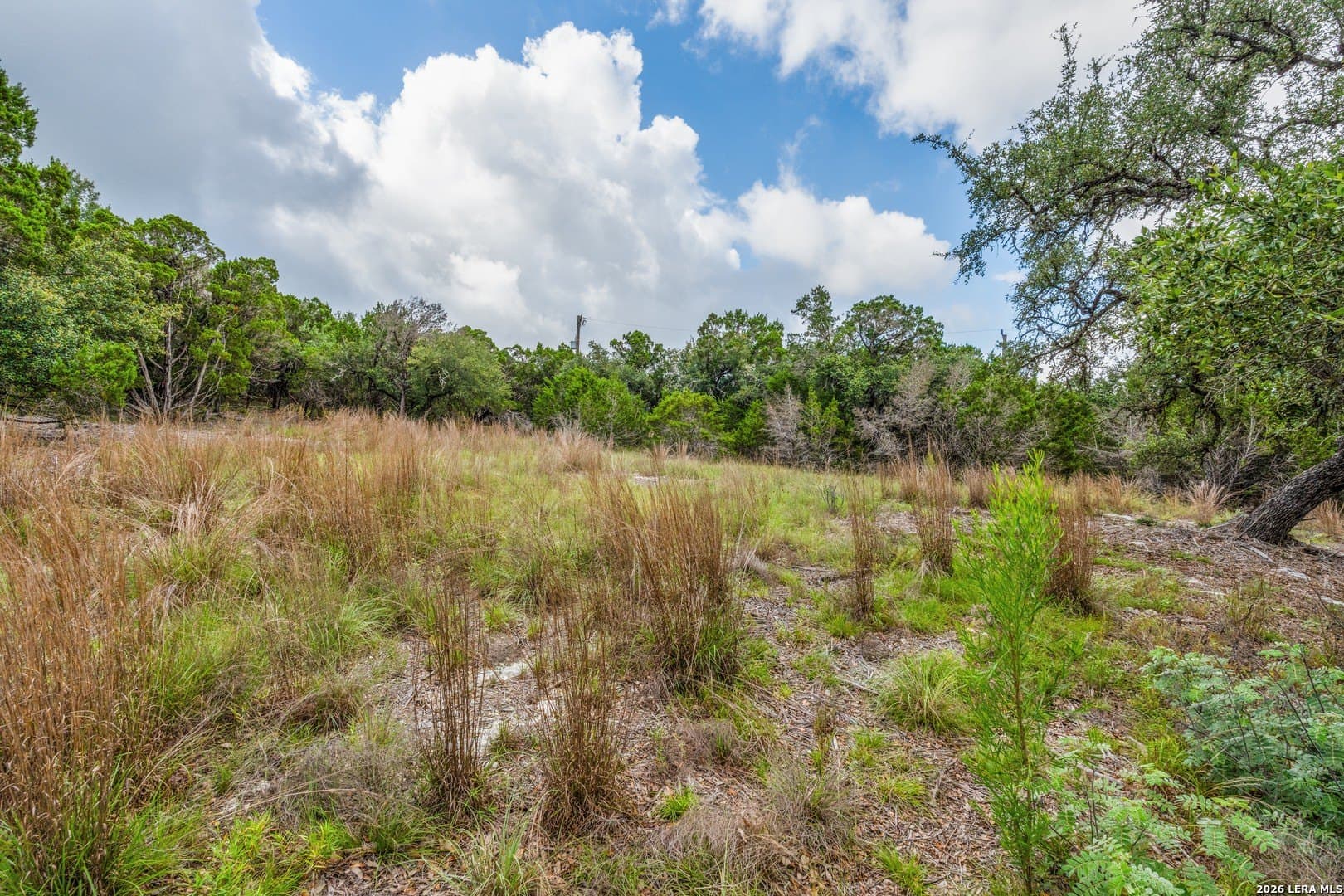 2.06 acres in Comal County - photo 8