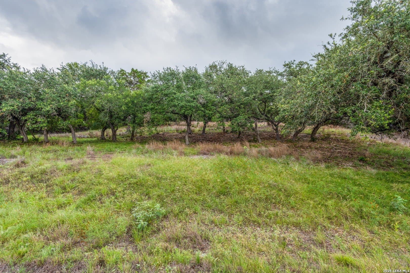 2.06 acres in Comal County gallery image 2