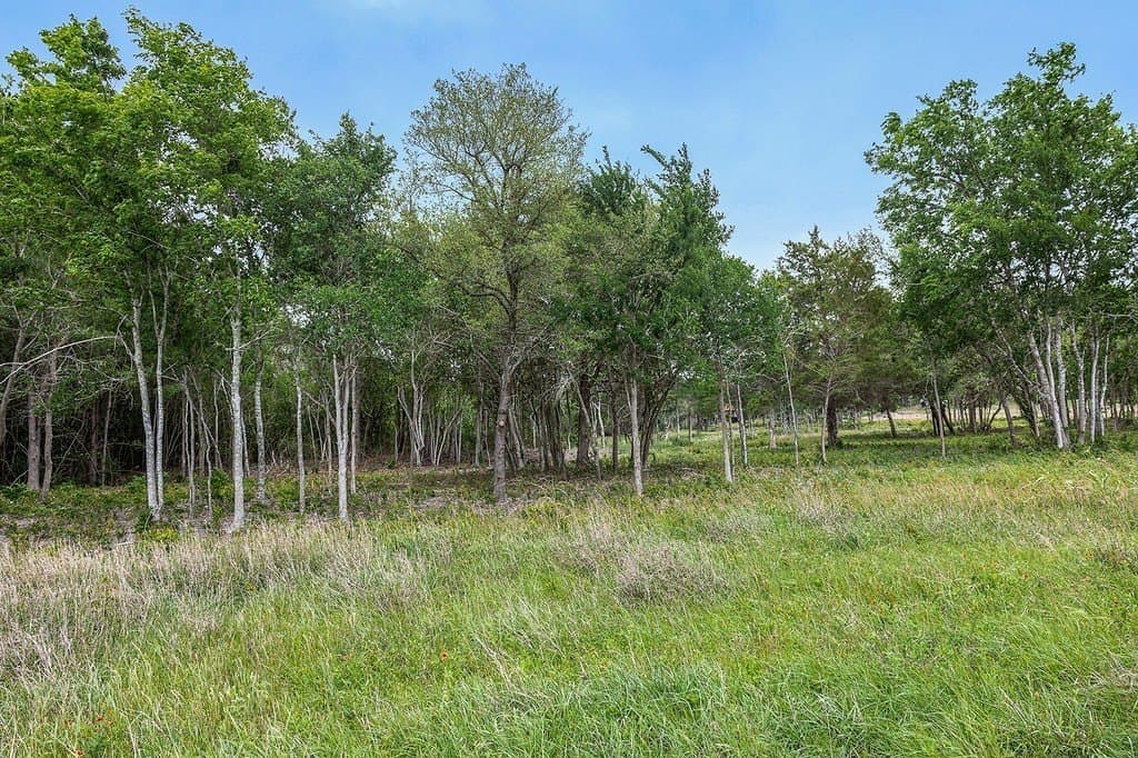 20.56 acres in Fayette County - photo 19