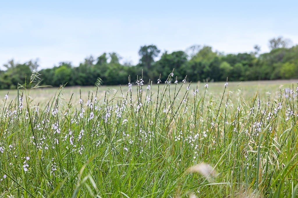 20.56 acres in Fayette County - photo 6