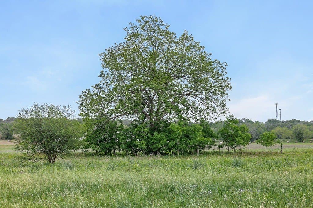 20.56 acres in Fayette County - photo 20