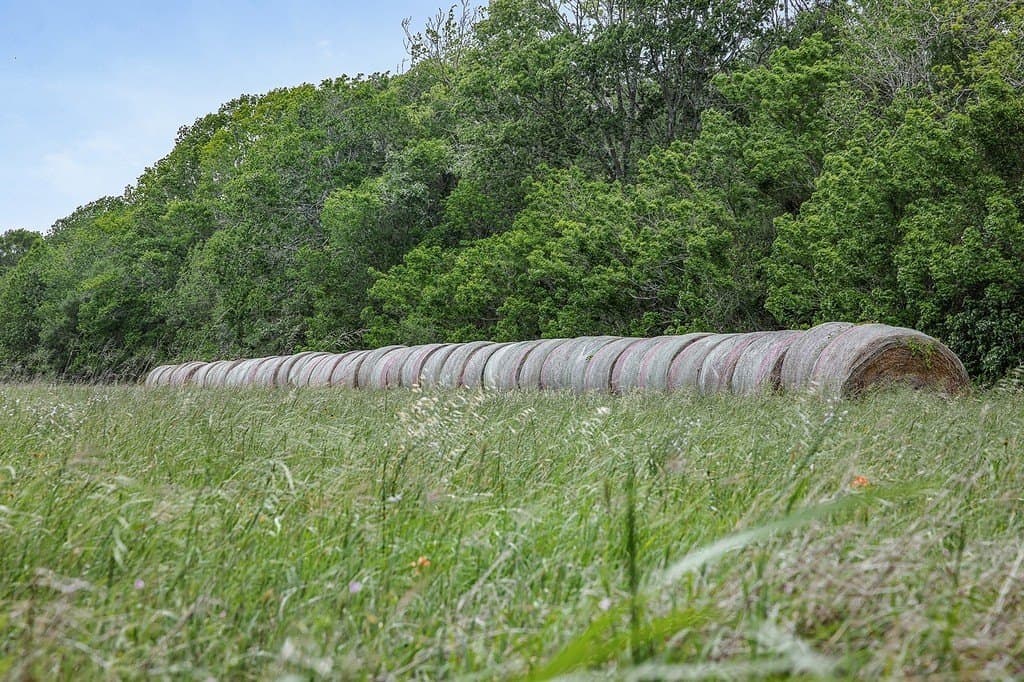 20.56 acres in Fayette County - photo 18