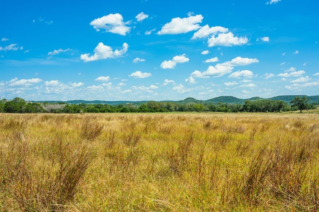 5.27 acres in Kerr County gallery image 4